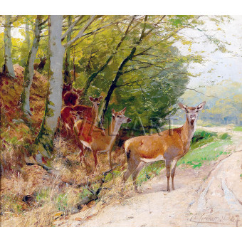 РЕПРОДУКЦИИ НА КАРТИНИ Стадо кошути пресичащи пътека (1907)